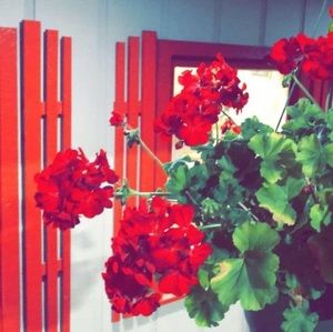 Meet your Posher, Zainab